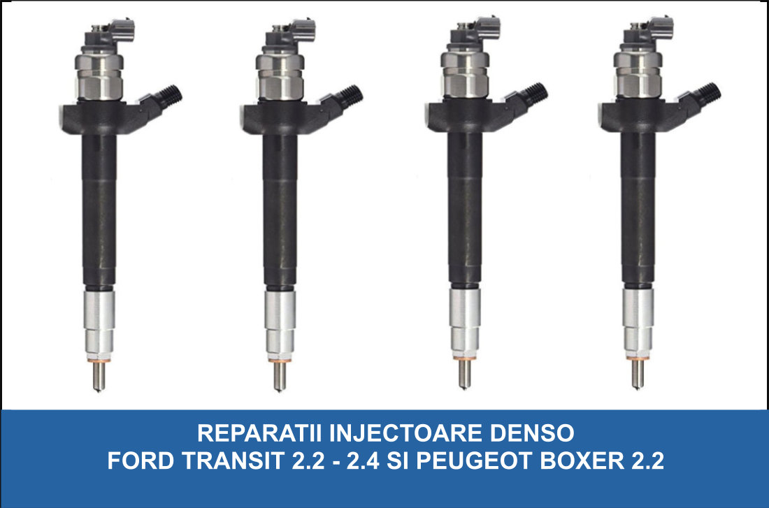 Reparatii Injectoare Buzau / Reparatii Pompe Duze Buzau