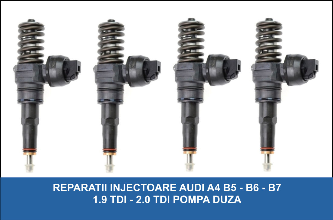 Reparatii Injectoare Buzau / Reparatii Pompe Duze Buzau