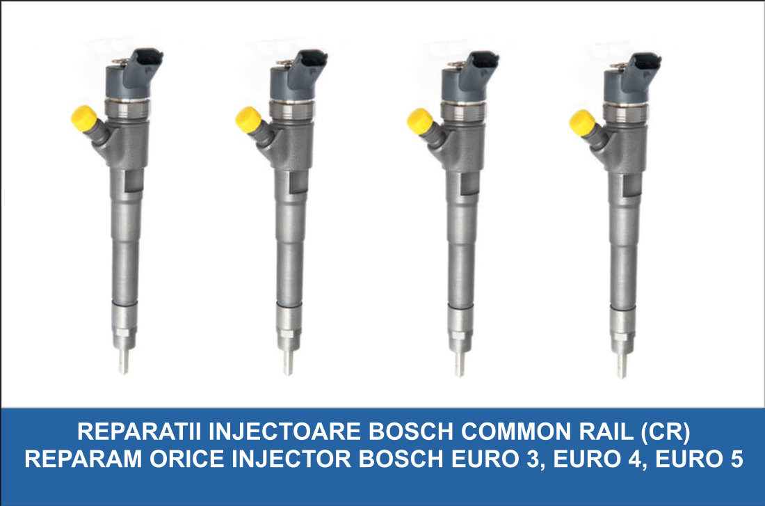 Reparatii Injectoare Buzau / Reparatii Pompe Duze Buzau