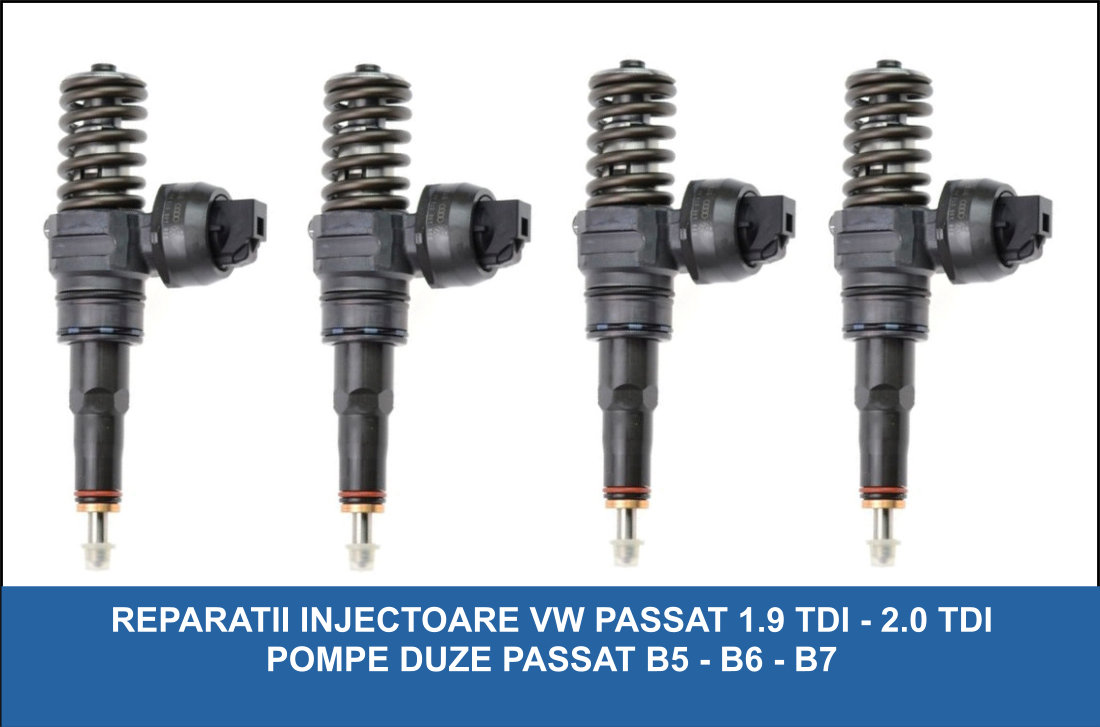 Reparatii Injectoare Buzau / Reparatii Pompe Duze Buzau