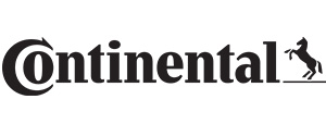 reconditionare injectoare continental pret reconditionare injectoare continental pret